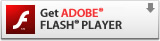 Download Adobe Flash Player